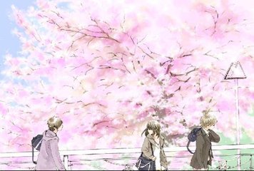 夜来香研究所网页版